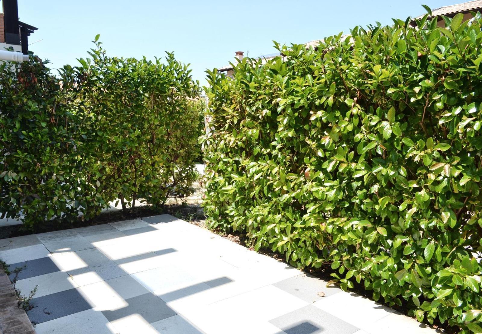 Le Case Del Carmine Con Giardino E Parcheggio A Tropea Exterior photo